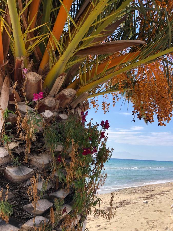 Halkidiki Beach Apartments 2 Nea Kalikratia Vergia Beach Nea Kallikrateia Eksteriør bilde